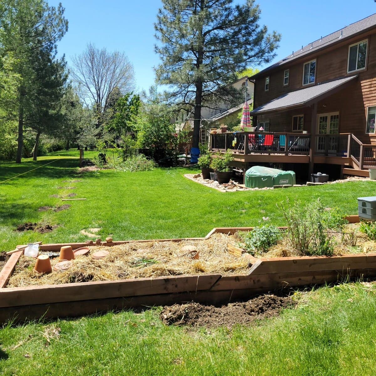 Completed backyard project with raised garden beds and a new deck in Longmont